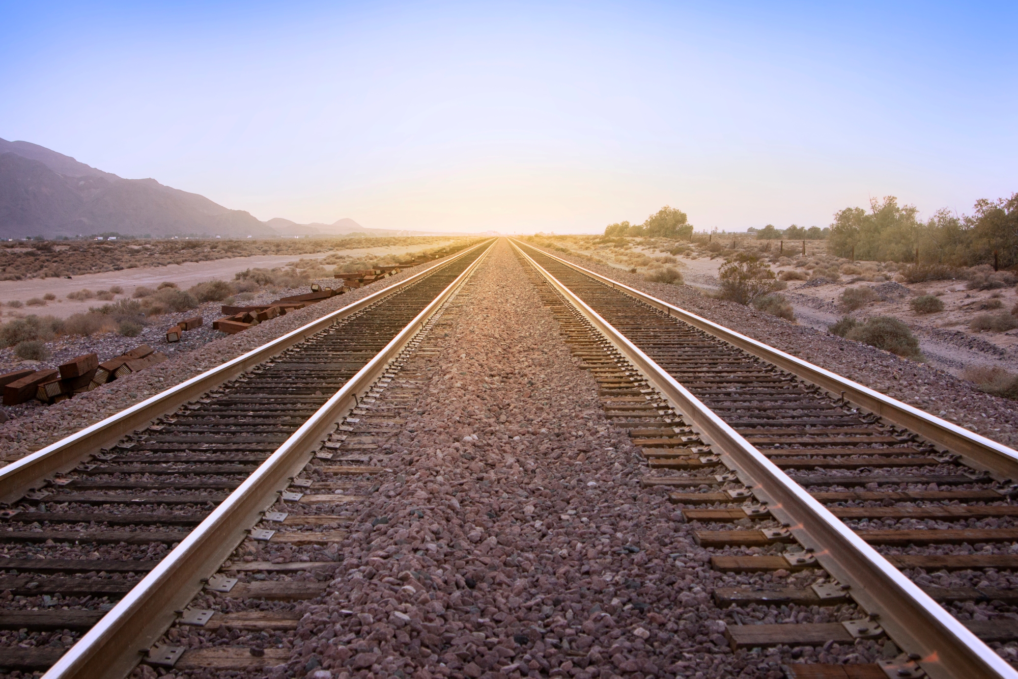 AdobeStock 355038439 Resized