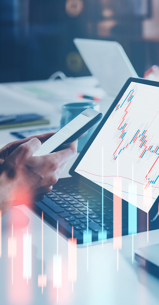 TDK Images BUSINESS ANALYSIS v2
